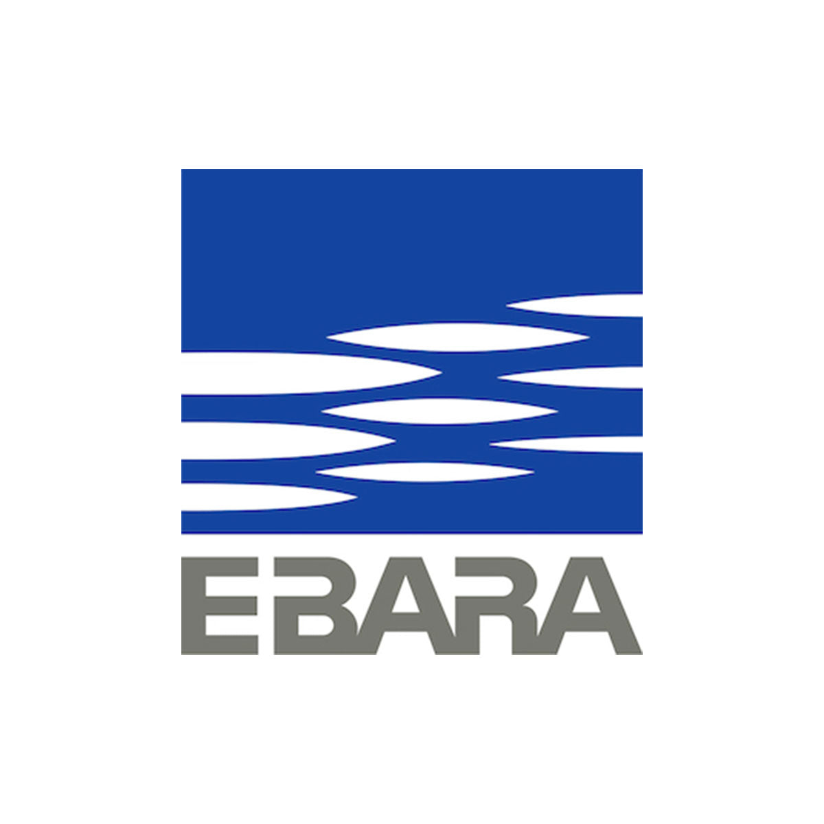 LOGO-Logo-list-Bombas-3-EBARA.jpg