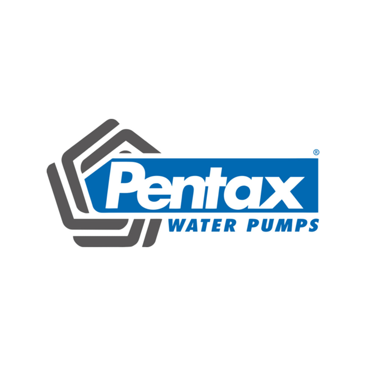 LOGO-Logo-list-Motores-11-PENTAX.jpg